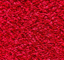 Ковролин AW Masquerade Certosa 10 фото 1 | FLOORDEALER